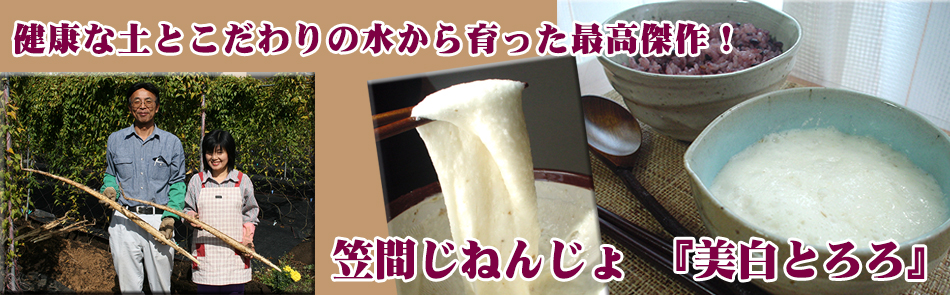 笠間のじねんじょ「美白とろろ」